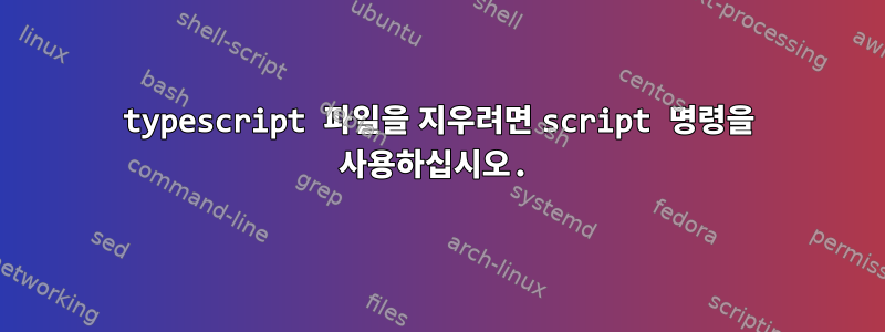 typescript 파일을 지우려면 script 명령을 사용하십시오.