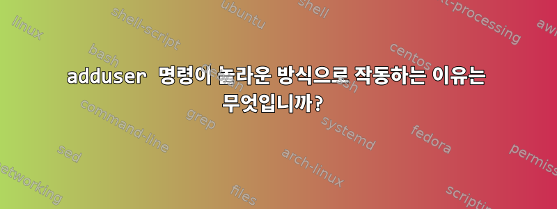 adduser 명령이 놀라운 방식으로 작동하는 이유는 무엇입니까?