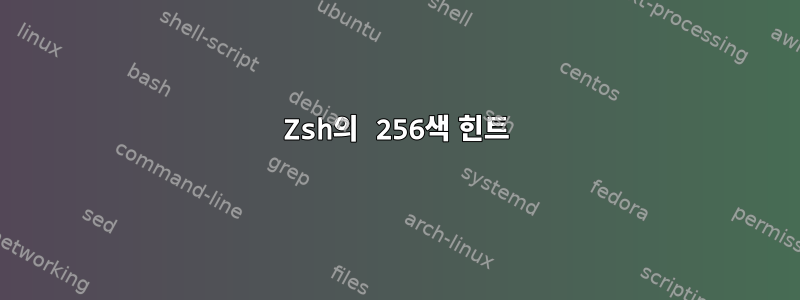 Zsh의 256색 힌트