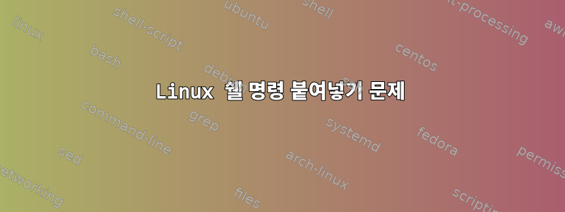 Linux 쉘 명령 붙여넣기 문제