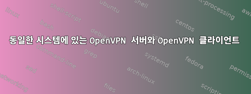 동일한 시스템에 있는 OpenVPN 서버와 OpenVPN 클라이언트