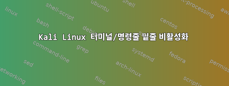 Kali Linux 터미널/명령줄 밑줄 비활성화