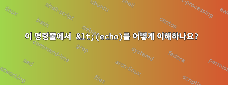 이 명령줄에서 &lt;(echo)를 어떻게 이해하나요?