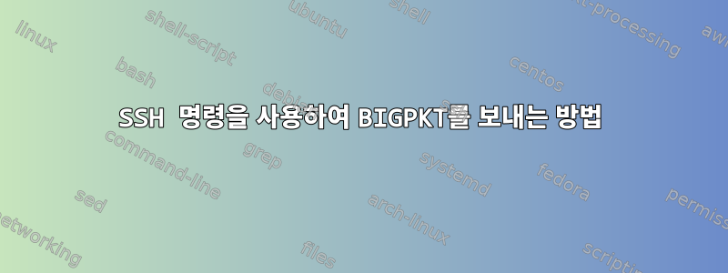 SSH 명령을 사용하여 BIGPKT를 보내는 방법