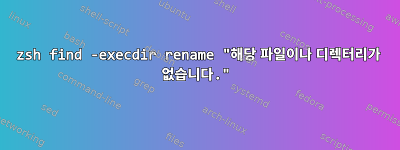 zsh find -execdir rename "해당 파일이나 디렉터리가 없습니다."