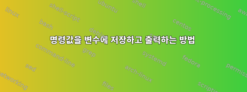 명령값을 변수에 저장하고 출력하는 방법