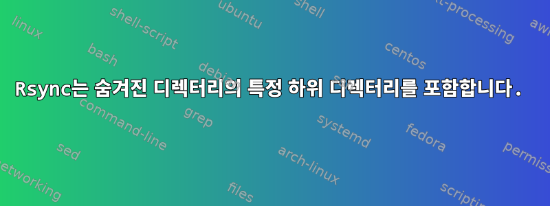 Rsync는 숨겨진 디렉터리의 특정 하위 디렉터리를 포함합니다.