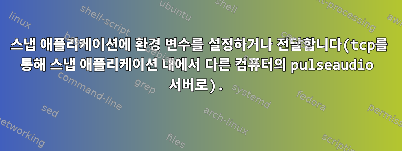 스냅 애플리케이션에 환경 변수를 설정하거나 전달합니다(tcp를 통해 스냅 애플리케이션 내에서 다른 컴퓨터의 pulseaudio 서버로).