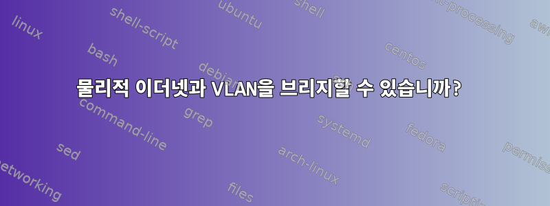 물리적 이더넷과 VLAN을 브리지할 수 있습니까?