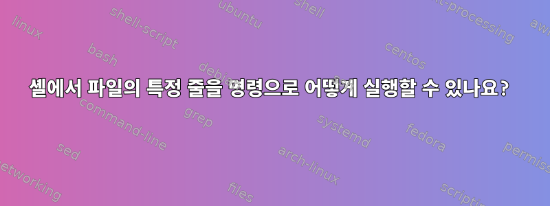 셸에서 파일의 특정 줄을 명령으로 어떻게 실행할 수 있나요?