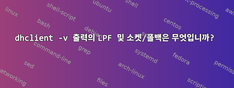 dhclient -v 출력의 LPF 및 소켓/폴백은 무엇입니까?