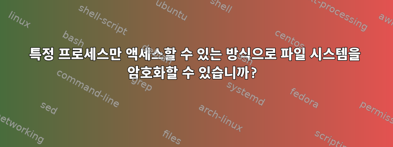 특정 프로세스만 액세스할 수 있는 방식으로 파일 시스템을 암호화할 수 있습니까?