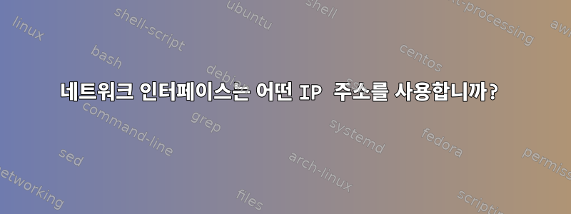 네트워크 인터페이스는 어떤 IP 주소를 사용합니까?