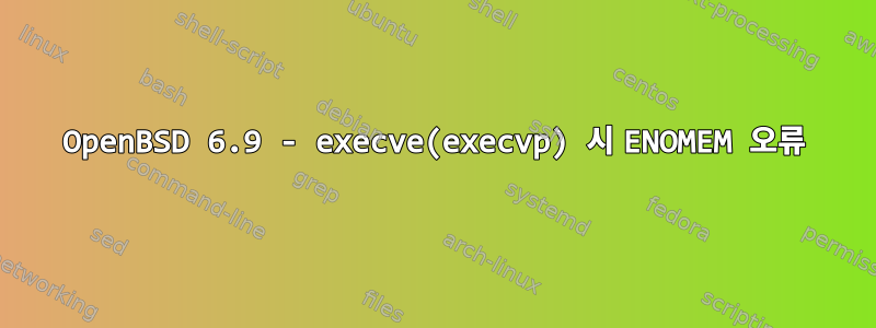 OpenBSD 6.9 - execve(execvp) 시 ENOMEM 오류