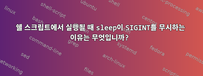 쉘 스크립트에서 실행될 때 sleep이 SIGINT를 무시하는 이유는 무엇입니까?