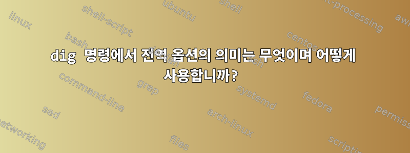 dig 명령에서 전역 옵션의 의미는 무엇이며 어떻게 사용합니까?