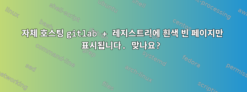 자체 호스팅 gitlab + 레지스트리에 흰색 빈 페이지만 표시됩니다. 맞나요?