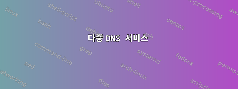 다중 DNS 서비스