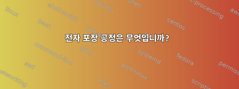 전자 포장 공정은 무엇입니까?