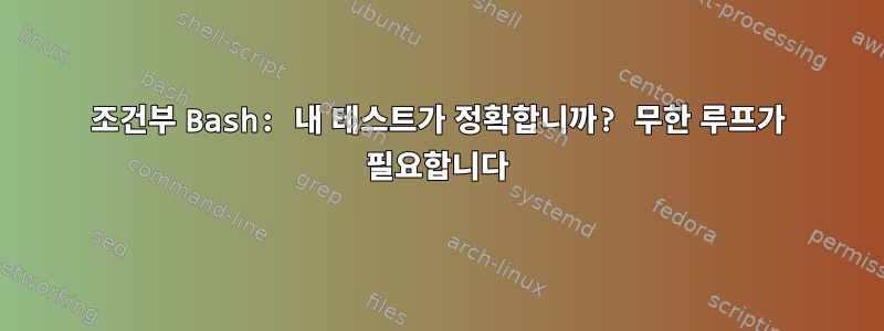 조건부 Bash: 내 테스트가 정확합니까? 무한 루프가 필요합니다