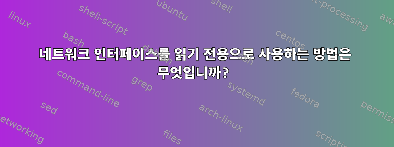 네트워크 인터페이스를 읽기 전용으로 사용하는 방법은 무엇입니까?