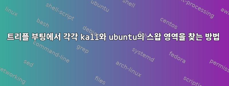 트리플 부팅에서 각각 kali와 ubuntu의 스왑 영역을 찾는 방법