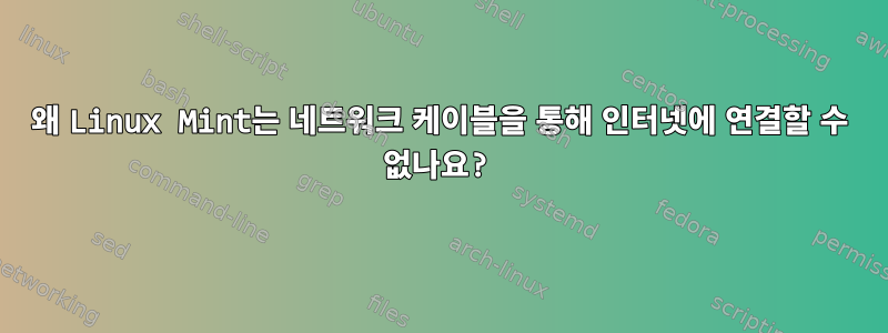 왜 Linux Mint는 네트워크 케이블을 통해 인터넷에 연결할 수 없나요?