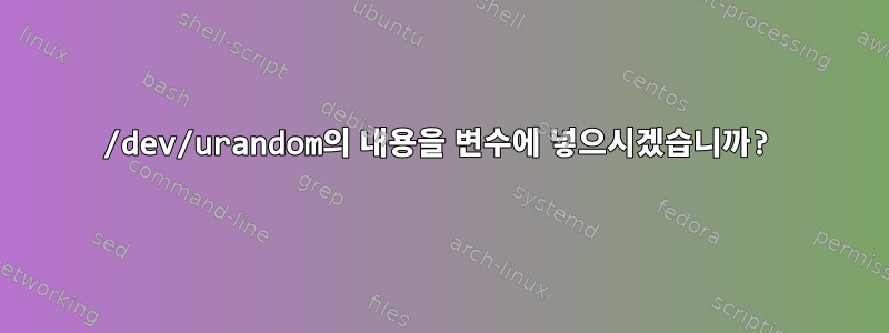 /dev/urandom의 내용을 변수에 넣으시겠습니까?