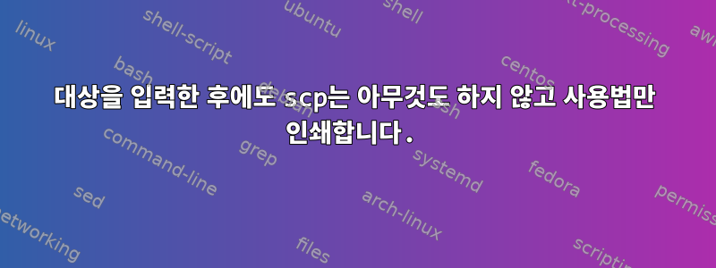 대상을 입력한 후에도 scp는 아무것도 하지 않고 사용법만 인쇄합니다.