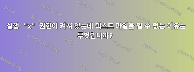 실행 "x" 권한이 켜져 있는데 텍스트 파일을 열 수 없는 이유는 무엇입니까?