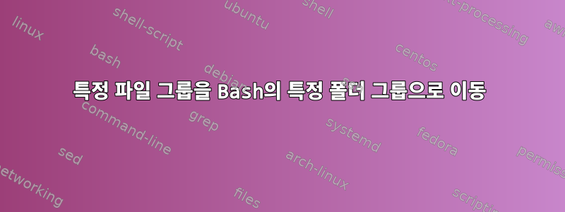 특정 파일 그룹을 Bash의 특정 폴더 그룹으로 이동