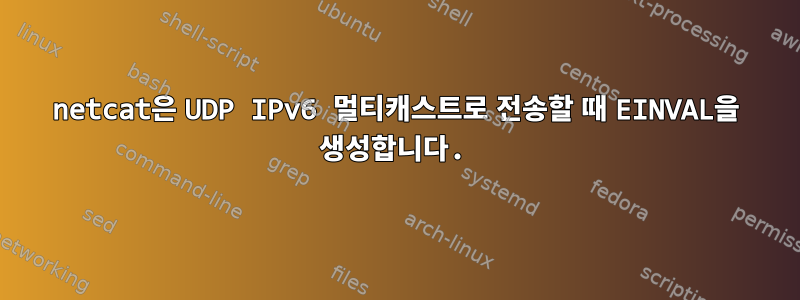 netcat은 UDP IPv6 멀티캐스트로 전송할 때 EINVAL을 생성합니다.