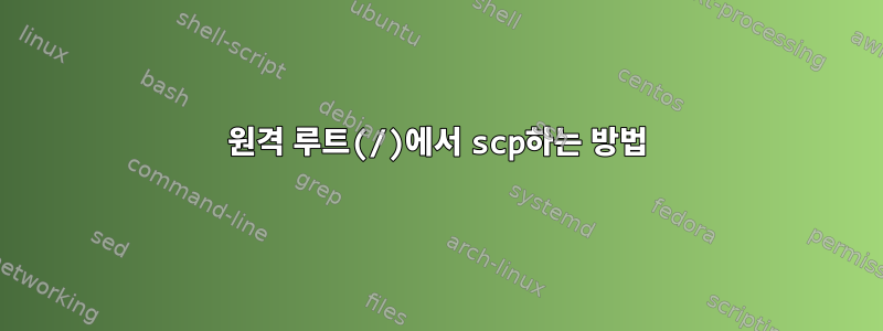 원격 루트(/)에서 scp하는 방법