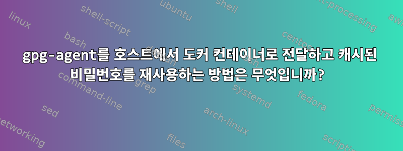 gpg-agent를 호스트에서 도커 컨테이너로 전달하고 캐시된 비밀번호를 재사용하는 방법은 무엇입니까?