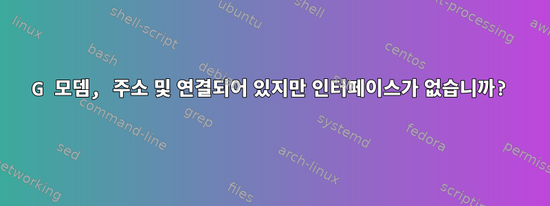 4G 모뎀, 주소 및 연결되어 있지만 인터페이스가 없습니까?