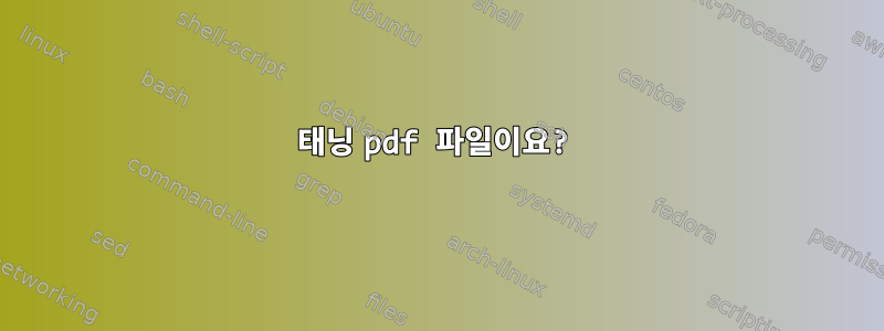 태닝 pdf 파일이요?