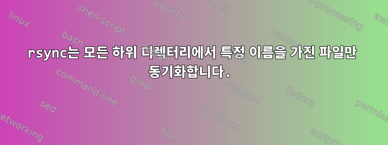 rsync는 모든 하위 디렉터리에서 특정 이름을 가진 파일만 동기화합니다.