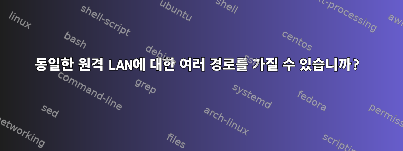 동일한 원격 LAN에 대한 여러 경로를 가질 수 있습니까?