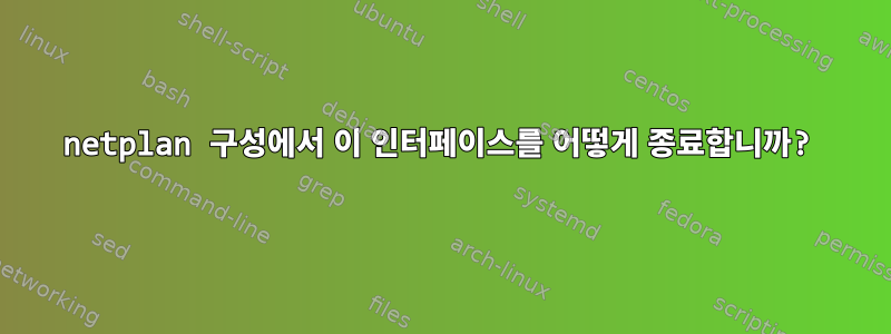 netplan 구성에서 이 인터페이스를 어떻게 종료합니까?