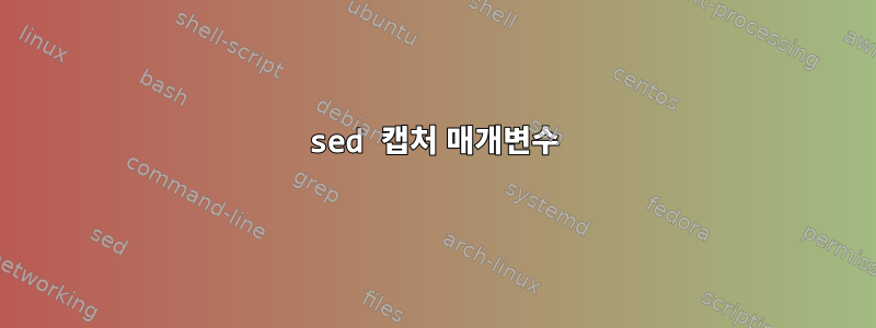 sed 캡처 매개변수