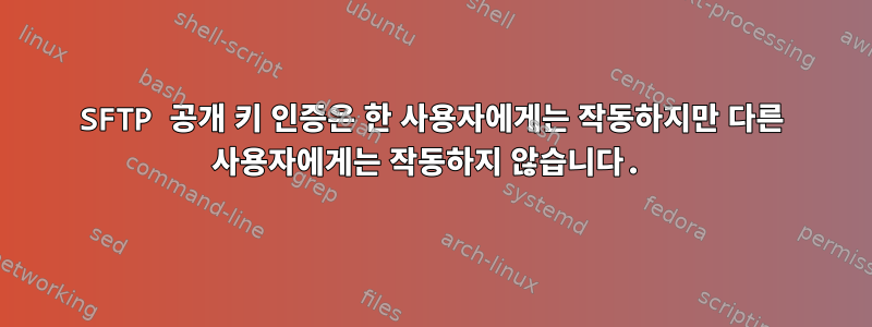 SFTP 공개 키 인증은 한 사용자에게는 작동하지만 다른 사용자에게는 작동하지 않습니다.