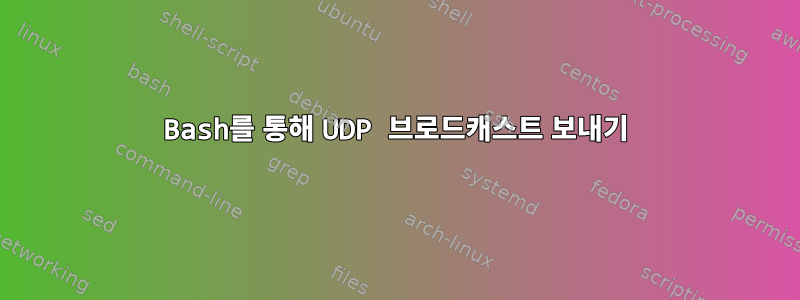 Bash를 통해 UDP 브로드캐스트 보내기