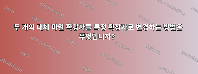 두 개의 대체 파일 확장자를 특정 확장자로 변경하는 방법은 무엇입니까?