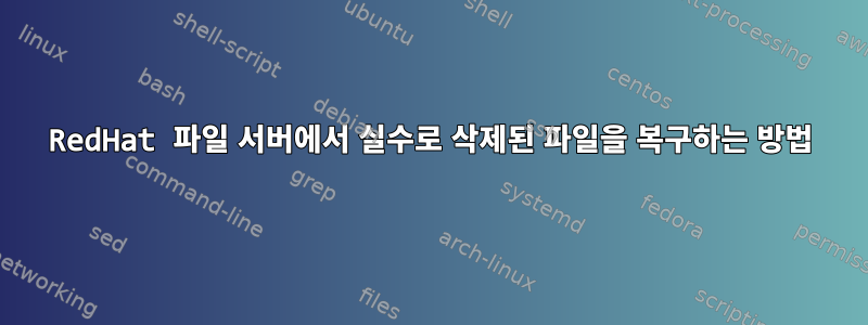 RedHat 파일 서버에서 실수로 삭제된 파일을 복구하는 방법