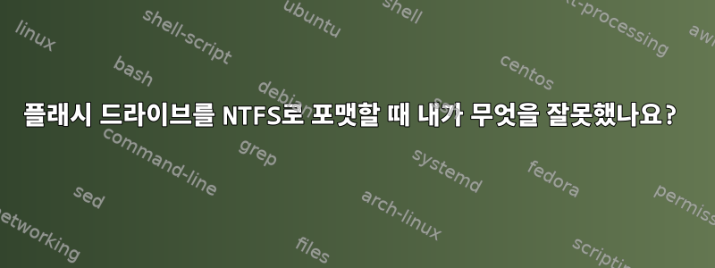 플래시 드라이브를 NTFS로 포맷할 때 내가 무엇을 잘못했나요?