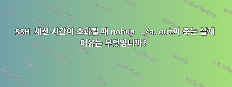 SSH 세션 시간이 초과될 때 nohup ./a.out이 죽는 실제 이유는 무엇입니까?