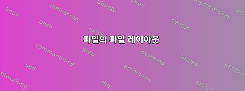 파일의 파일 레이아웃