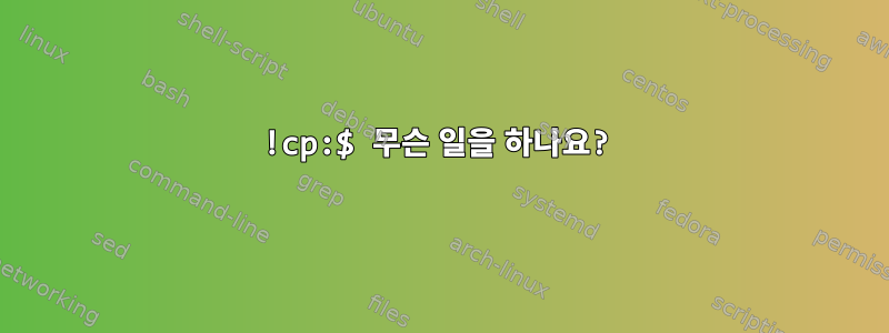 !cp:$ 무슨 일을 하나요?