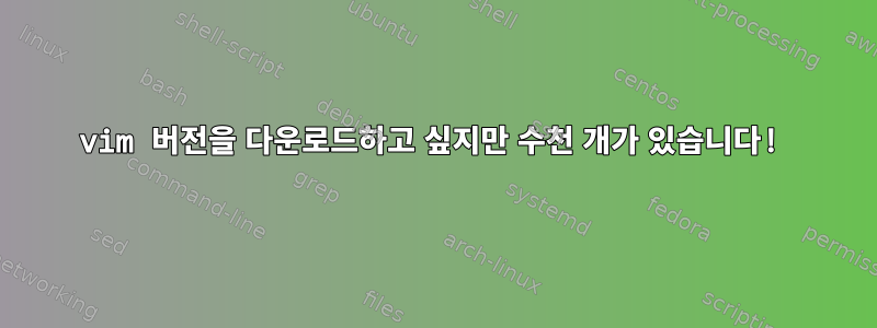 vim 버전을 다운로드하고 싶지만 수천 개가 있습니다!