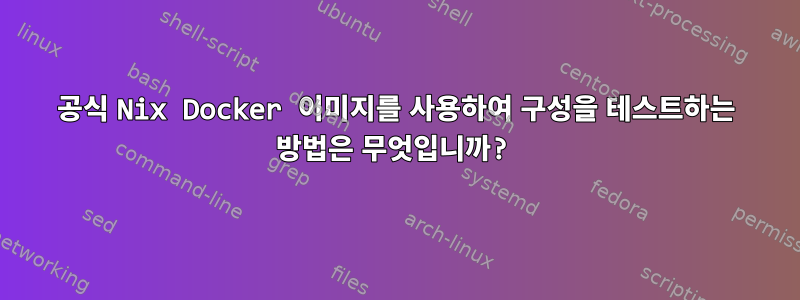 공식 Nix Docker 이미지를 사용하여 구성을 테스트하는 방법은 무엇입니까?